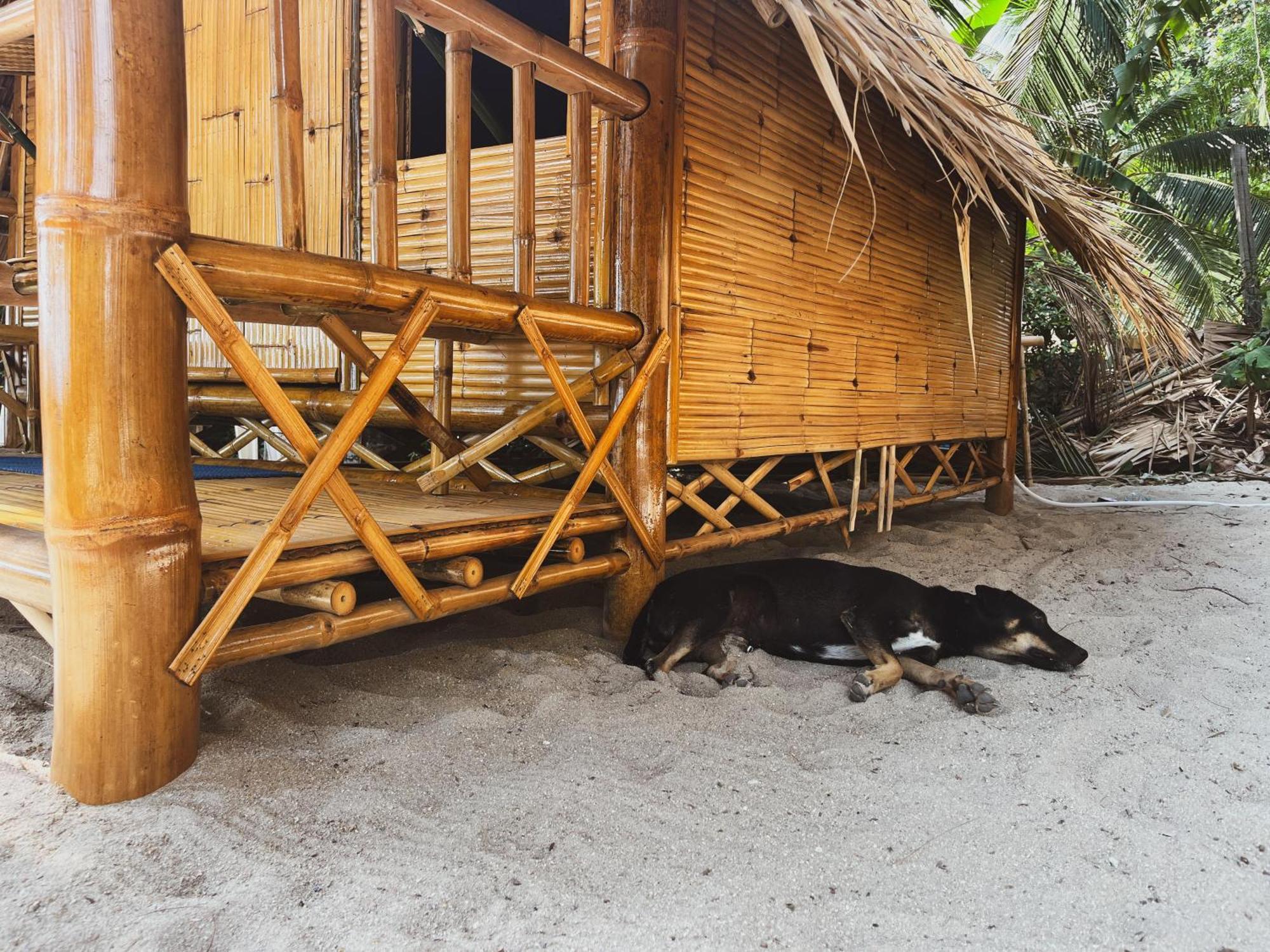 Echo Hostal Baan Tai